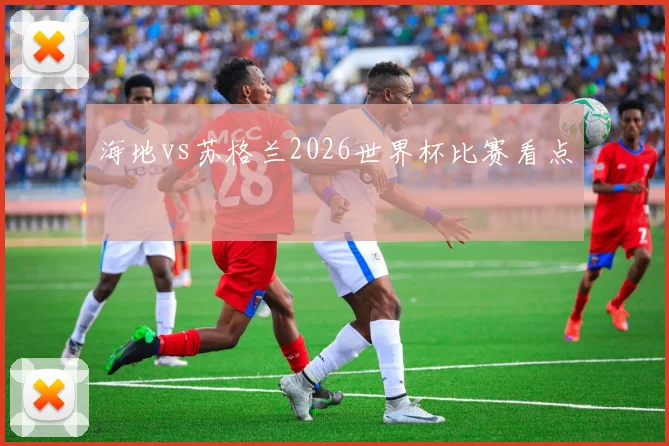 海地vs苏格兰2026世界杯比赛看点