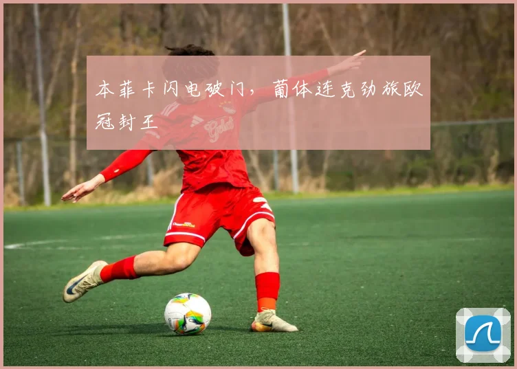 本菲卡闪电破门，葡体连克劲旅欧冠封王