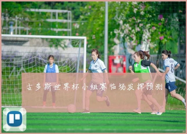 古多斯世界杯小组赛临场发挥预测