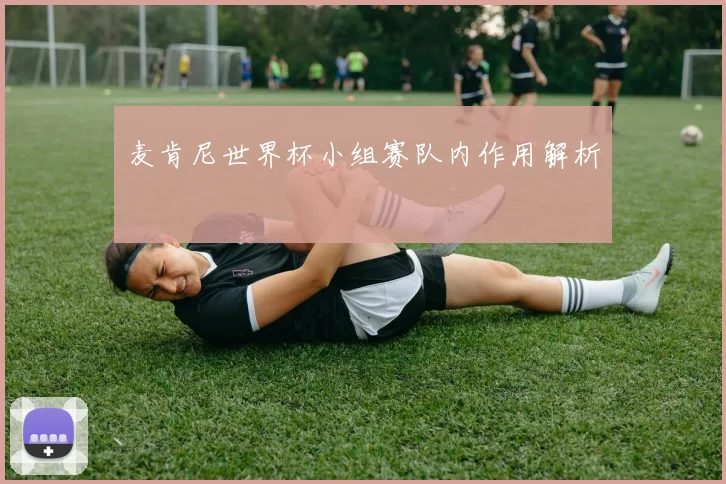 麦肯尼世界杯小组赛队内作用解析