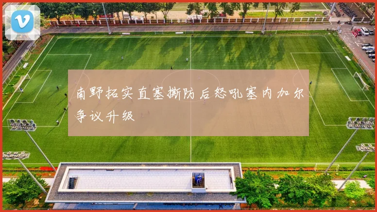 南野拓实直塞撕防后怒吼塞内加尔争议升级