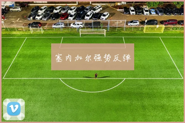 塞内加尔强势反弹