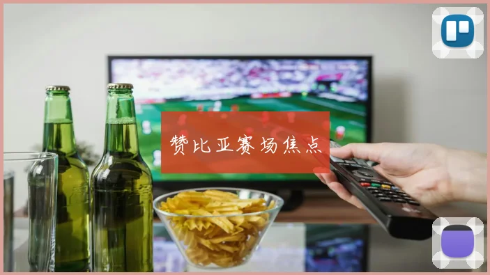 赞比亚赛场焦点