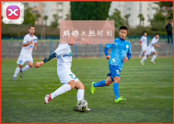 鹈鹕决胜时刻