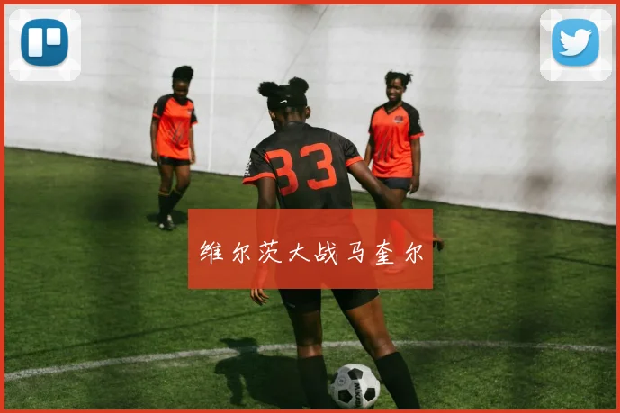 维尔茨大战马奎尔