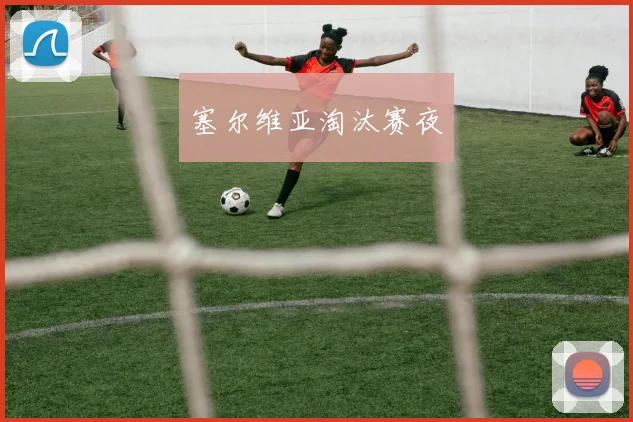 塞尔维亚淘汰赛夜