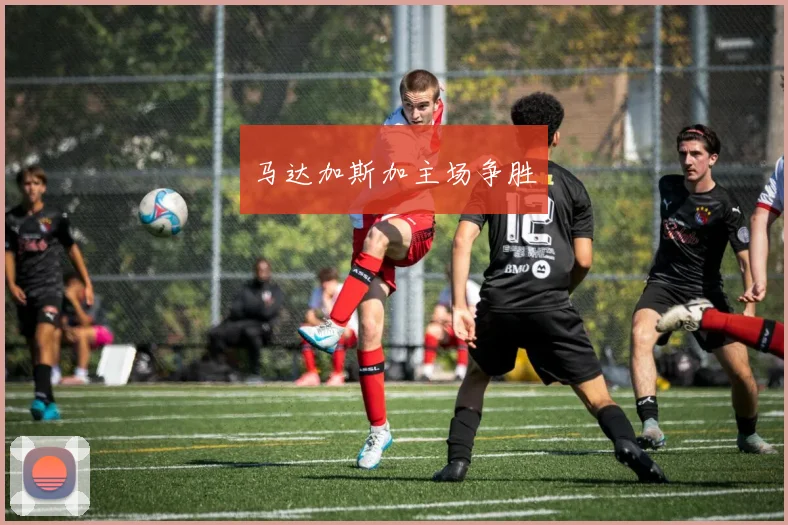 马达加斯加主场争胜