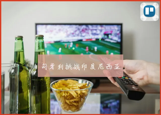 匈牙利挑战印度尼西亚