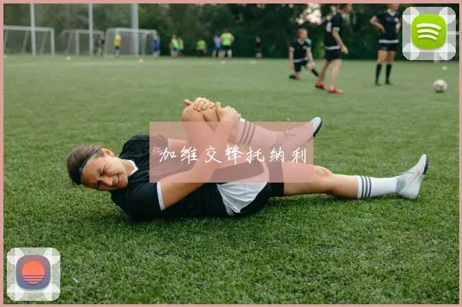 加维交锋托纳利