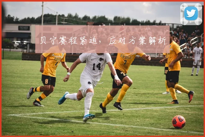 贝宁赛程紧迫，应对方案解析