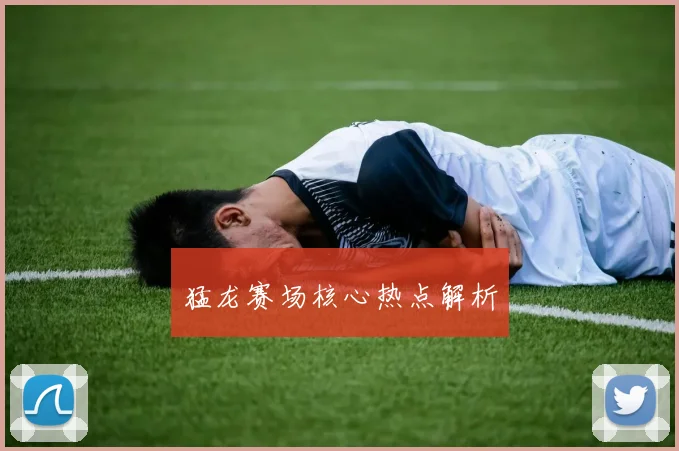 猛龙赛场核心热点解析