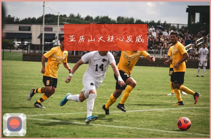 亚历山大核心发威