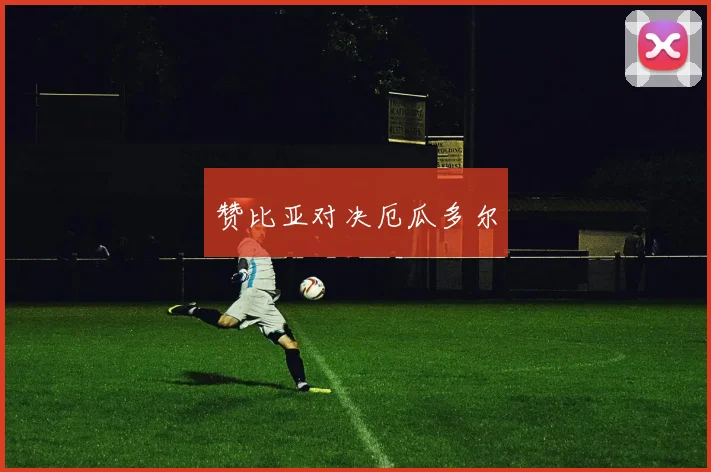 赞比亚对决厄瓜多尔