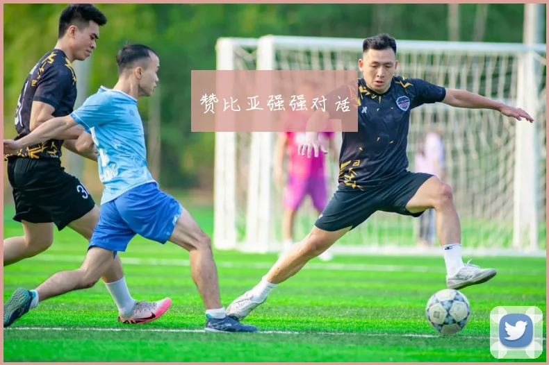 赞比亚强强对话
