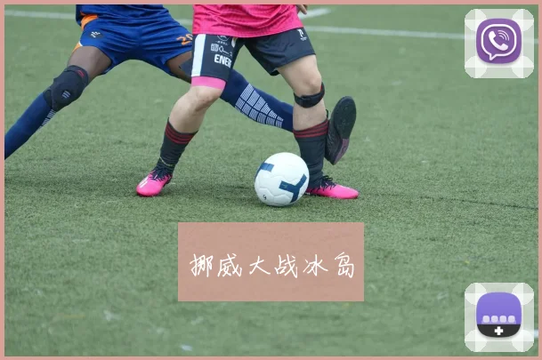 挪威大战冰岛