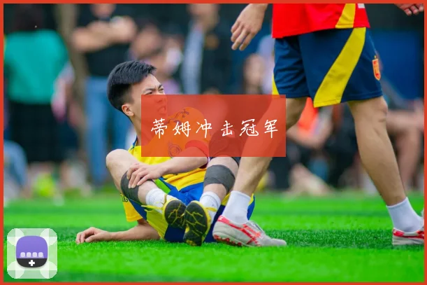 蒂姆冲击冠军