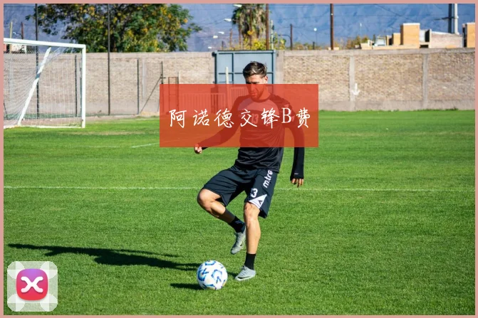 阿诺德交锋B费