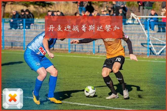 丹麦迎战哥斯达黎加