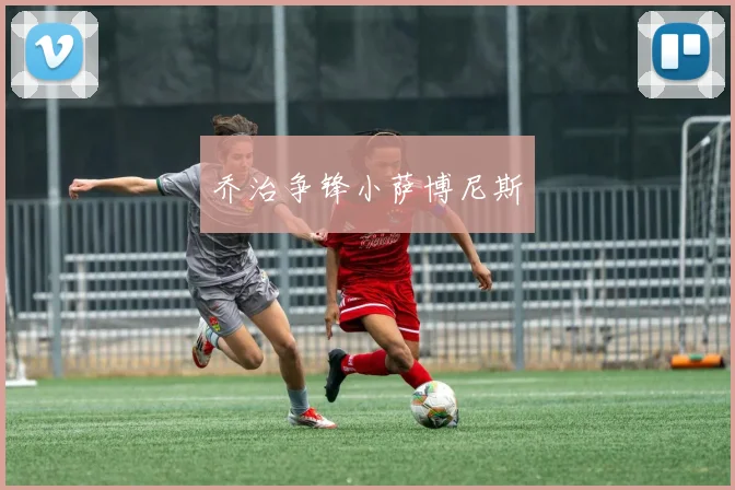 乔治争锋小萨博尼斯