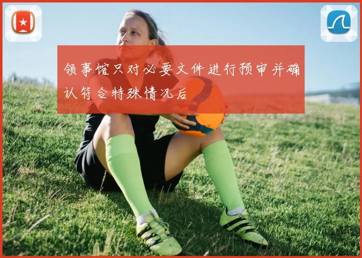 领事馆只对必要文件进行预审并确认符合特殊情况后