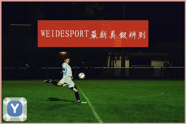 WEIDESPORT最新真假辨别