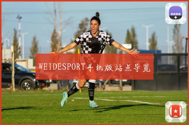 WEIDESPORT手机版站点导览